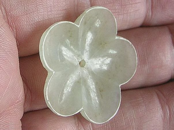 Flower  76 - (6330)